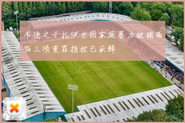 韦德之子扎伊尔因家庭暴力被捕面临三项重罪指控已获释
